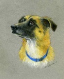 Commissioned Portrait- Maggie <br> Pastel