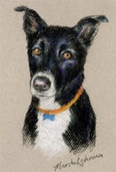 Commissioned Portrait- Nomini <br> Pastel