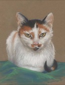 Commissioned Portrait- Smudge <br> Pastel