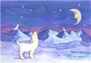 Defenders of Wildlife - Greeting Card Campaign