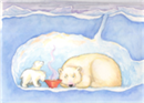 
		Defenders of Wildlife - Greeting Card Campaign